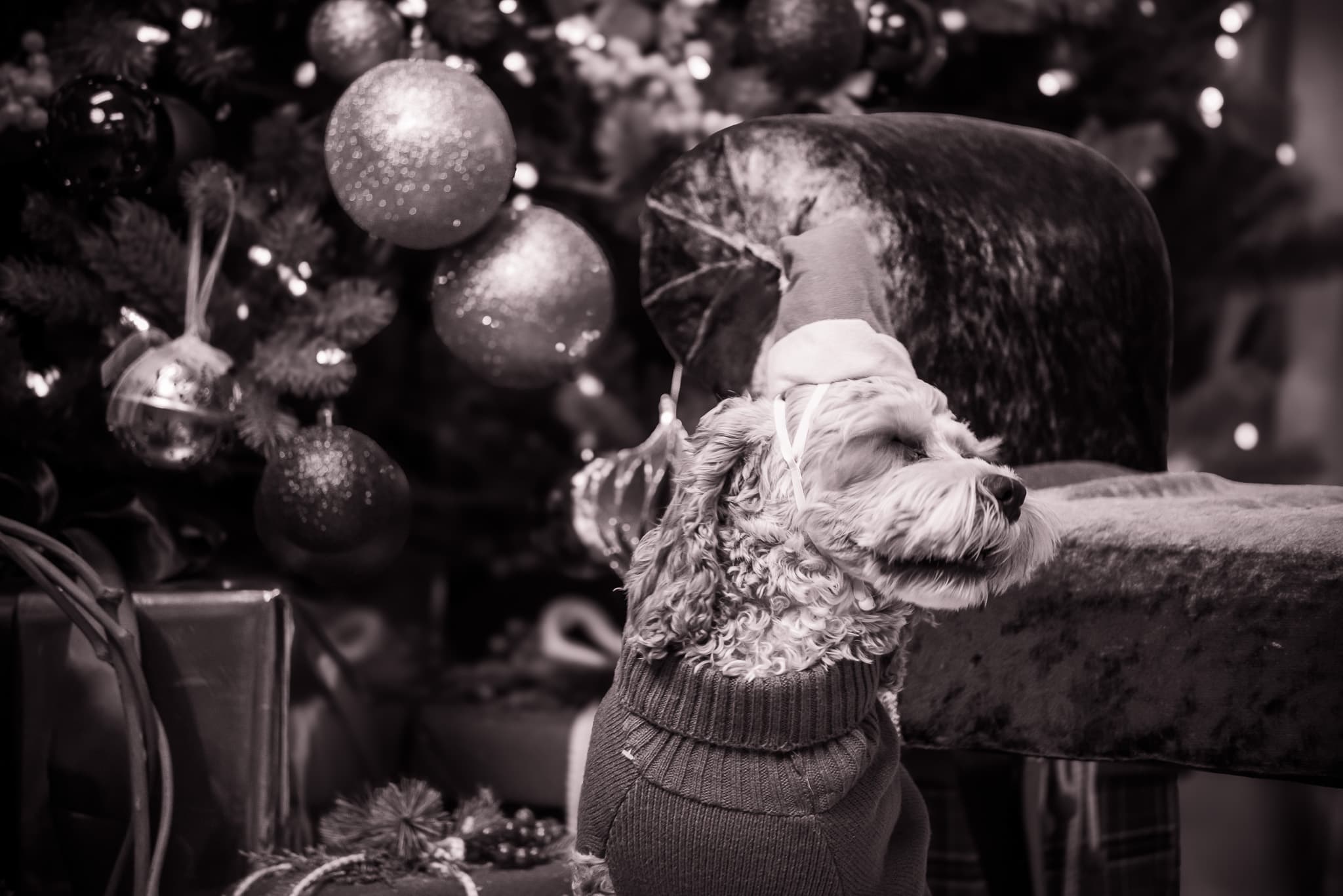 Behind the scenes at Visual Persona - Photography Direction